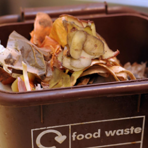 Η οργάνωση της συλλογής και η αξιοποίηση των βιοαποβλήτων στο επίκεντρο του Ε.Σ.Δ.Α.Κ. Η οργάνωση της συλλογής και η αξιοποίηση των βιοαποβλήτων στο επίκεντρο του Ε.Σ.Δ.Α.Κ.