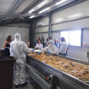 Συνάντηση των εταίρων του προγράμματος Life F4F «Τροφή από Τρόφιμα» στο Ηράκλειο Συνάντηση των εταίρων του προγράμματος Life F4F «Τροφή από Τρόφιμα» στο Ηράκλειο