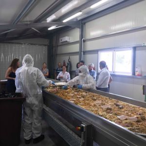 Συνάντηση των εταίρων του προγράμματος Life F4F «Τροφή από Τρόφιμα» στο Ηράκλειο Συνάντηση των εταίρων του προγράμματος Life F4F «Τροφή από Τρόφιμα» στο Ηράκλειο