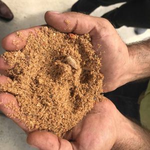 Συνάντηση των εταίρων του προγράμματος Life F4F «Τροφή από Τρόφιμα» στο Ηράκλειο Συνάντηση των εταίρων του προγράμματος Life F4F «Τροφή από Τρόφιμα» στο Ηράκλειο